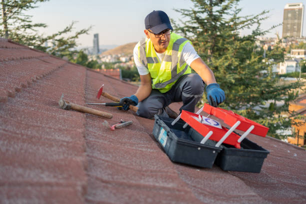 Best Stucco Siding  in Dyer, IN